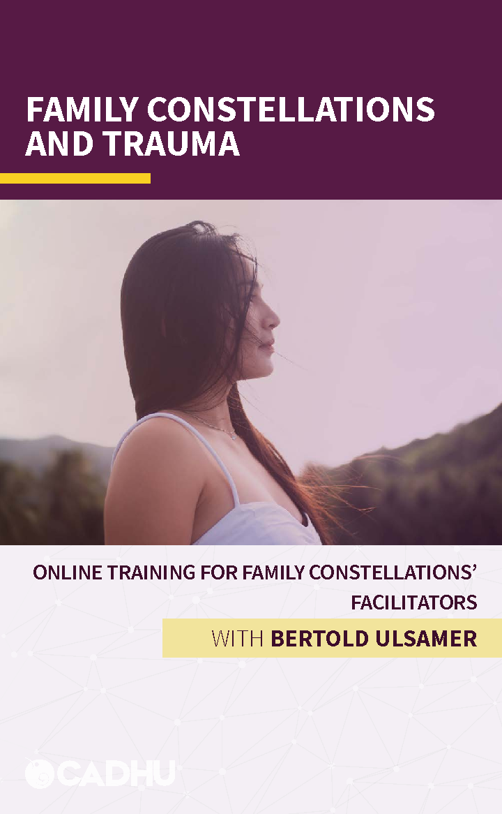 Training: Family Constellation and Trauma